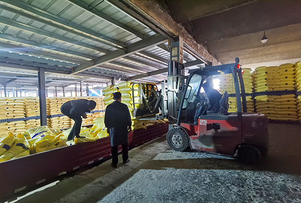 汽車運(yùn)輸裝車到位(副圖）.jpg