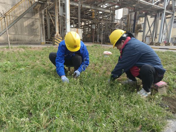 3月22日，行政保衛(wèi)部馬師傅和孫師傅在道路兩旁清除雜草。.jpg